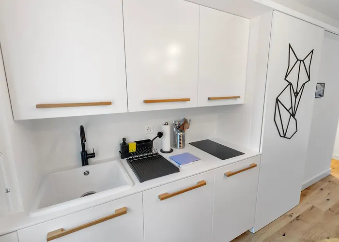 Elegant A Proximite Des Pistes Et Des Bains *