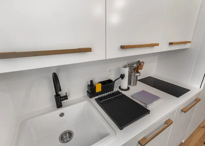 Elegant A Proximite Des Pistes Et Des Bains *